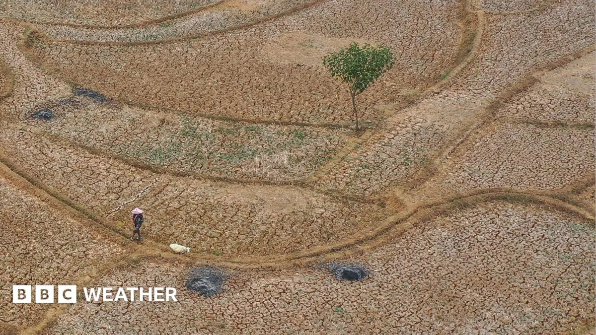 Five ways El Niño is affecting the weather around the world