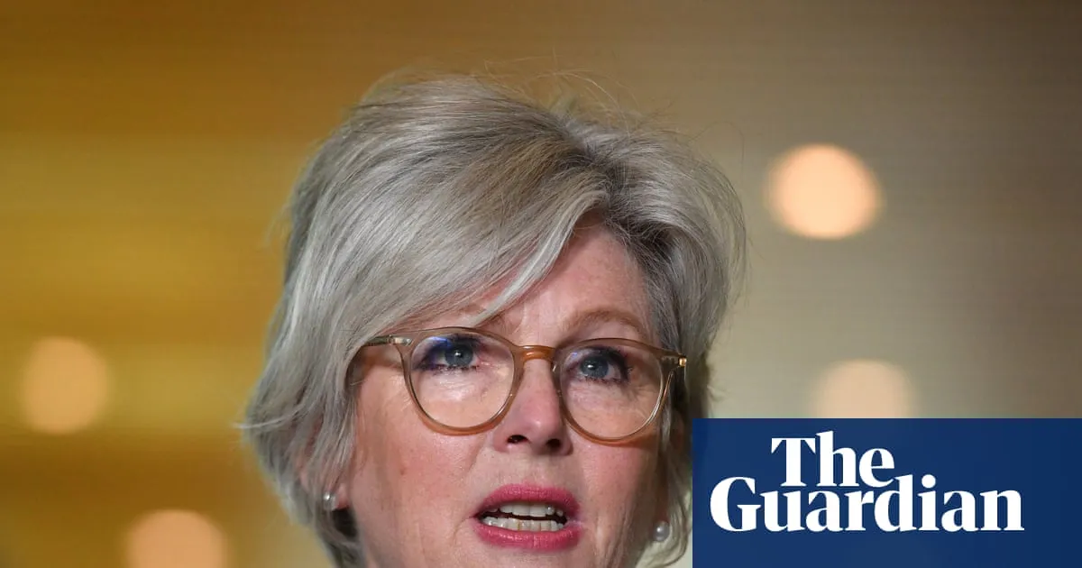 Car allegedly did U-turn and struck Helen Haines twice, in what some believe was target attack against MP