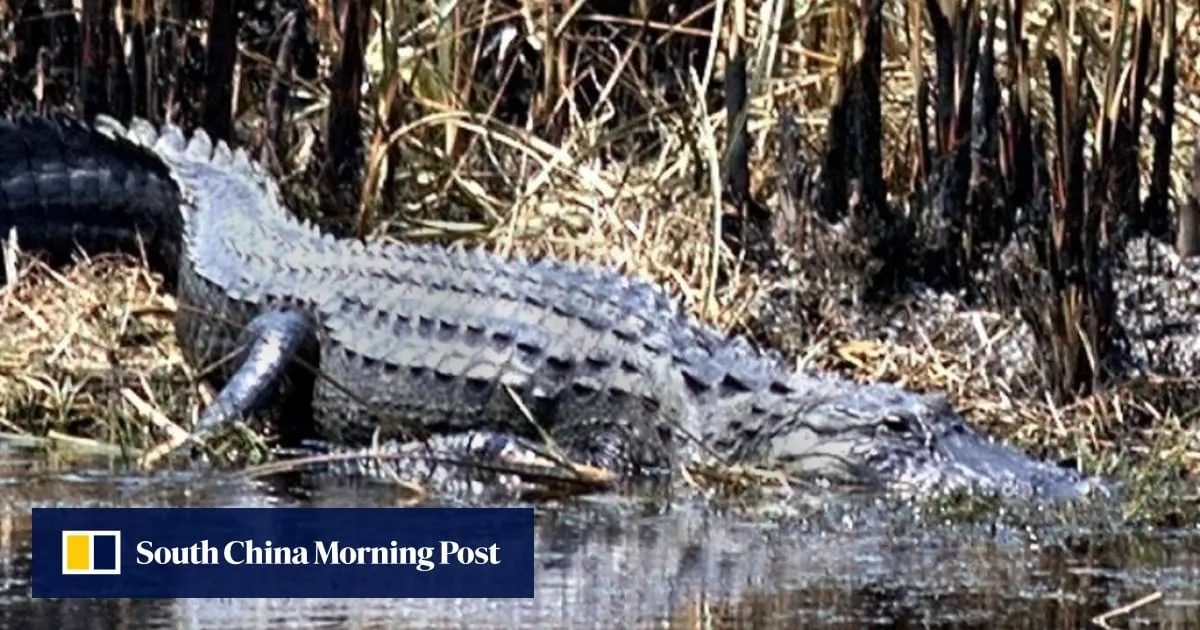 US man escapes execution for dumping girl, 5, to be killed by alligators