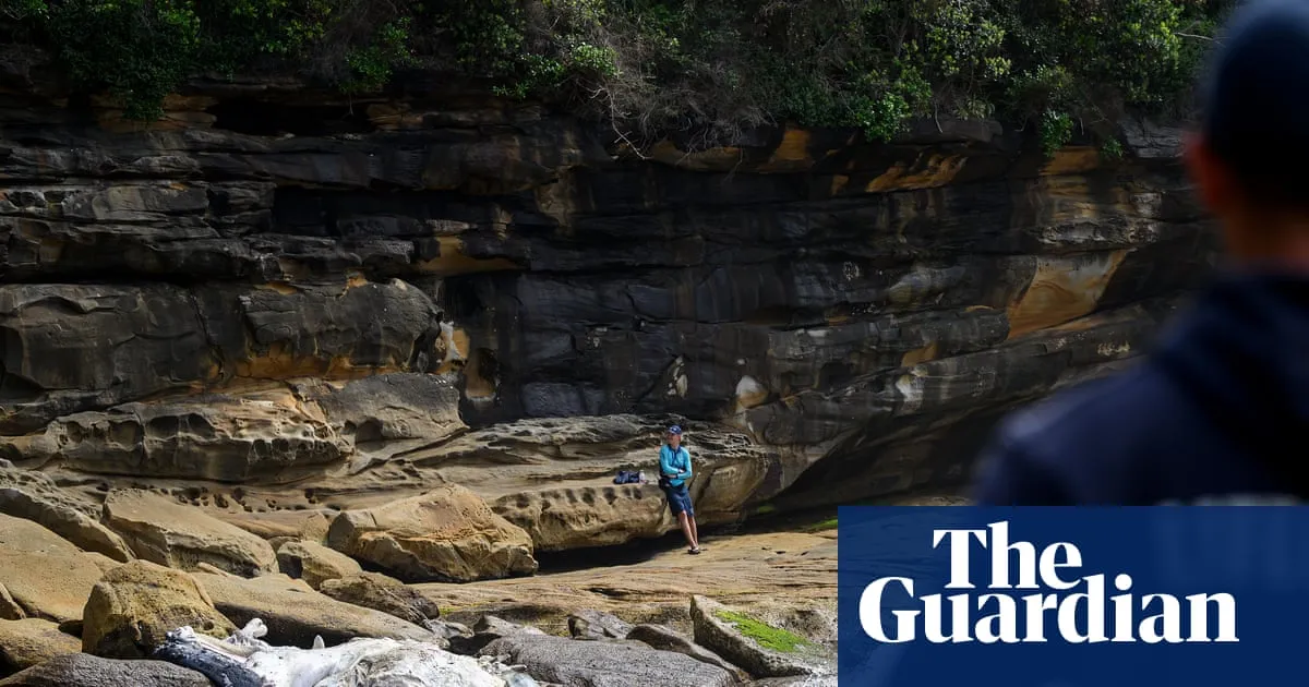 ‘Almost looks fake’: two Sydney beaches closed after whale carcass washes up