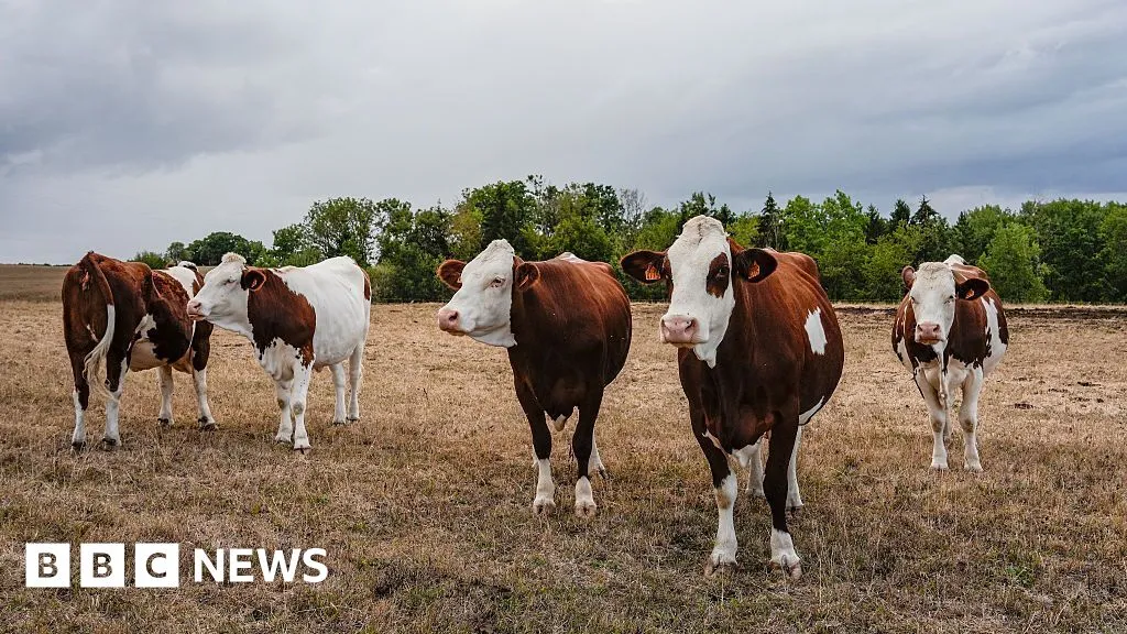 First human case of Shamonda virus detected in France, officials say