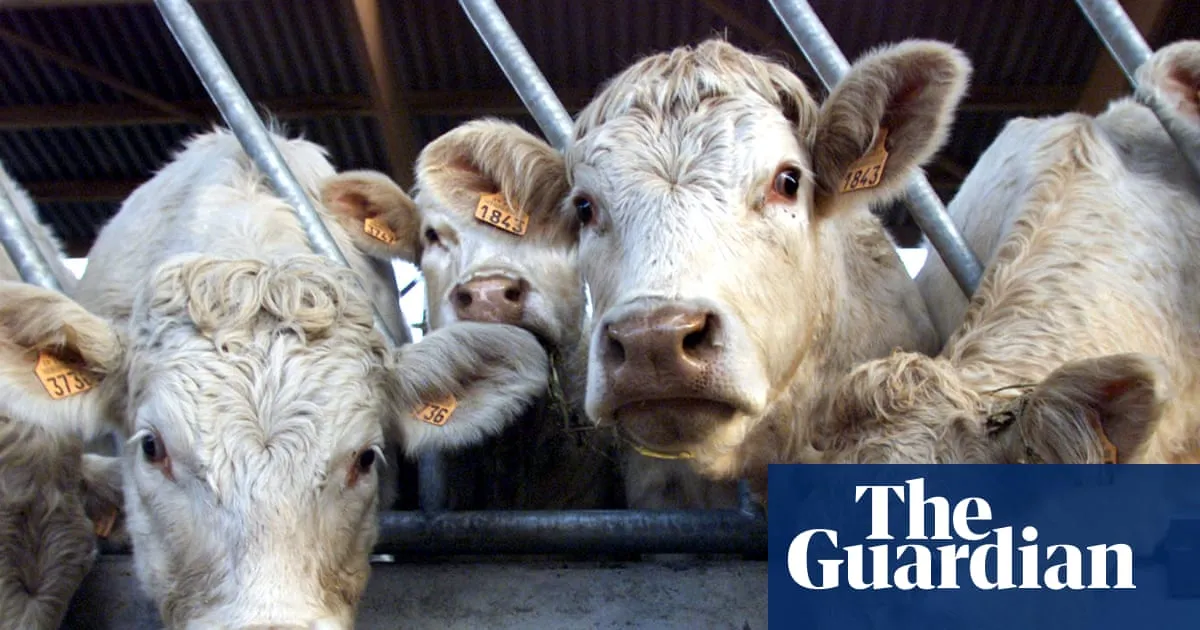 Shamonda virus detected in human for first time in France