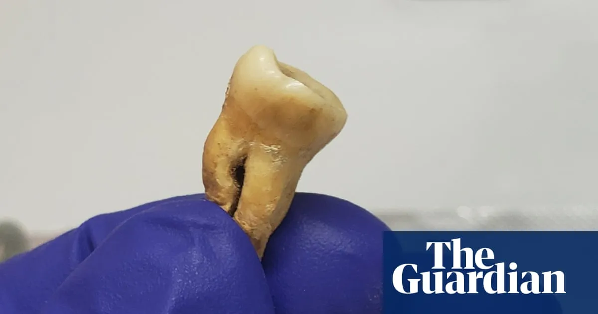 Mass grave in Jordan sheds new light on world’s earliest recorded pandemic