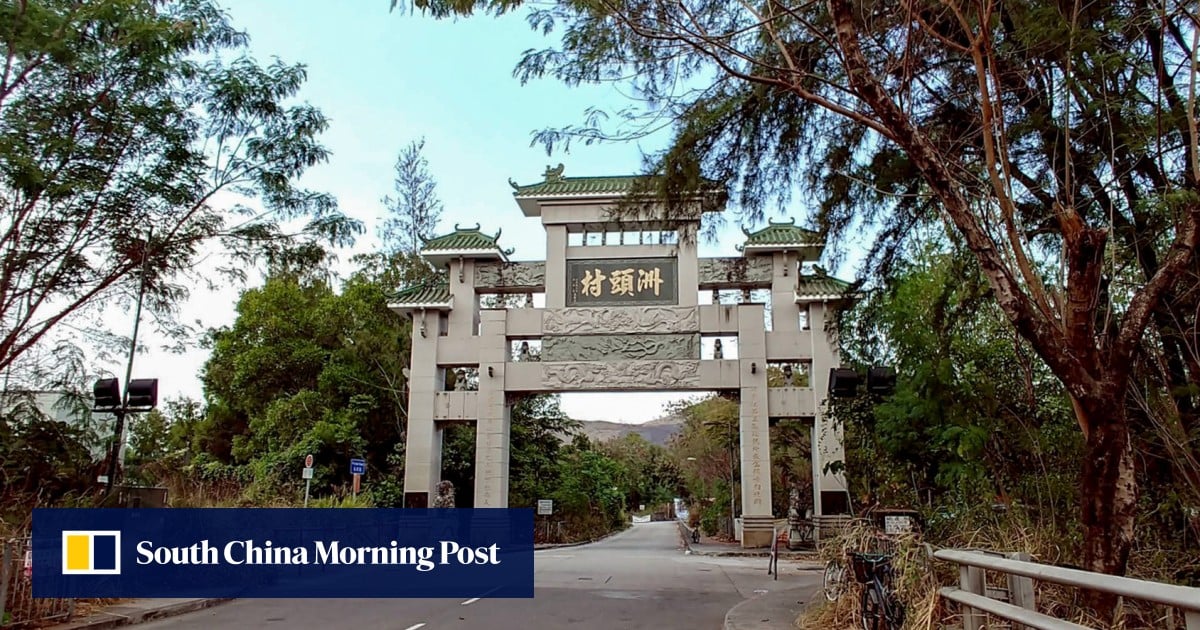 Man arrested after 20 cats, hamster found dead in Hong Kong flat