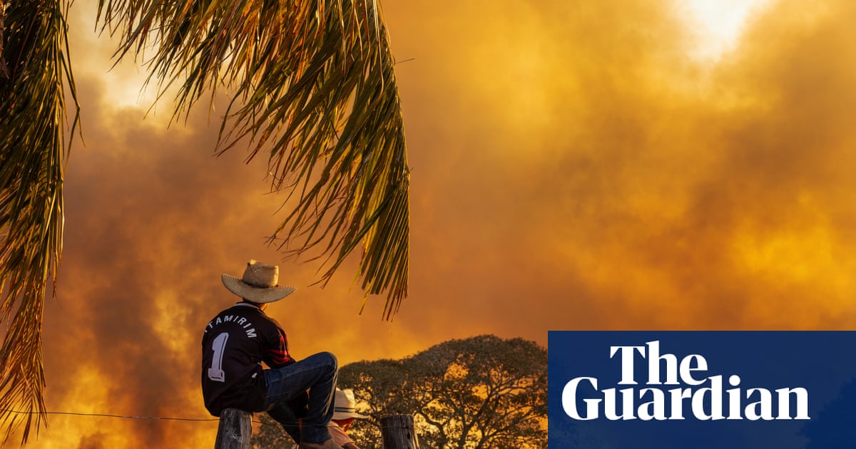 ‘Pure apocalypse’: a photographer’s journey through the Pantanal wildfires