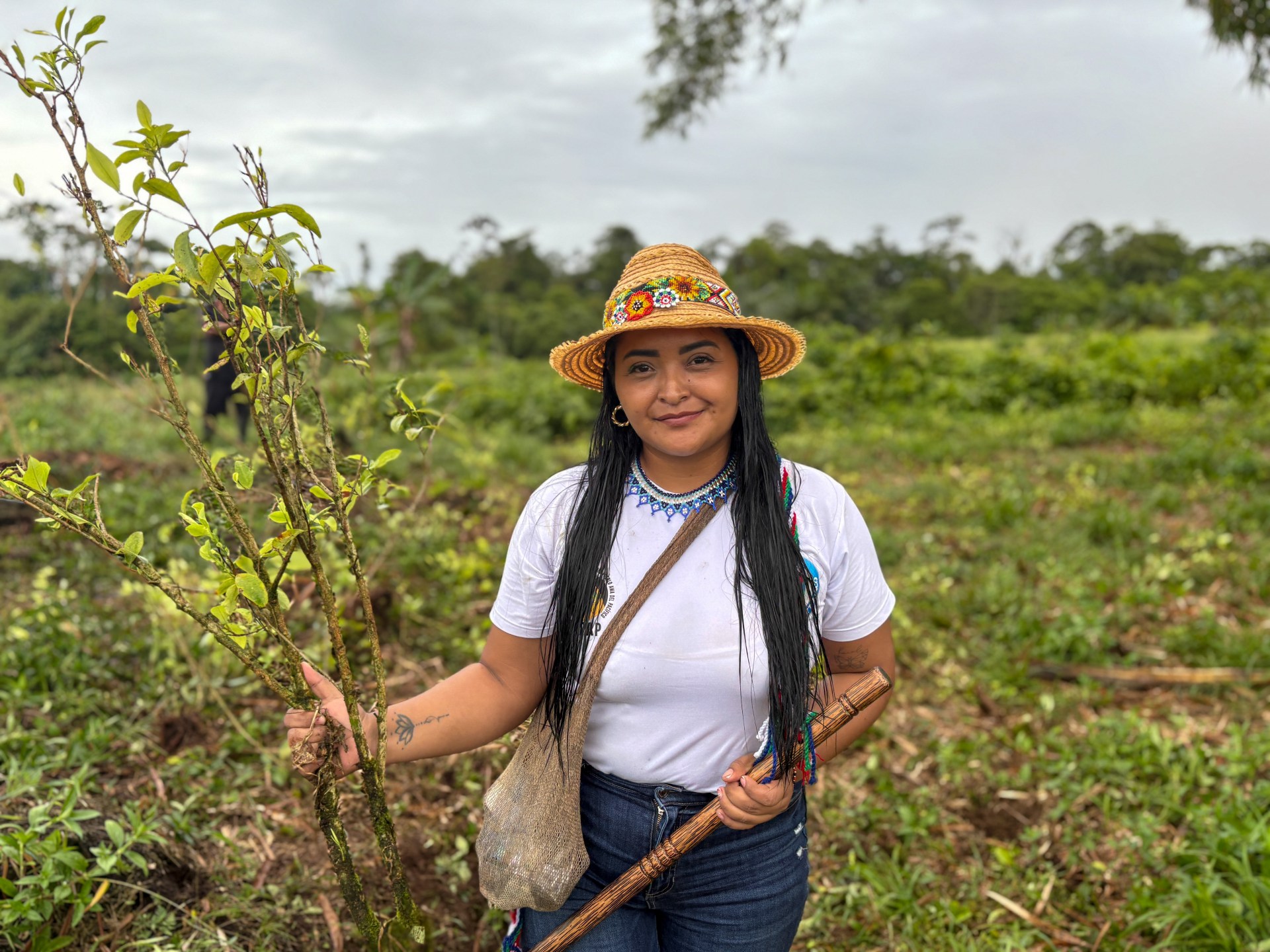 Trump and Petro clash over how best to uproot Colombia’s cocaine crops