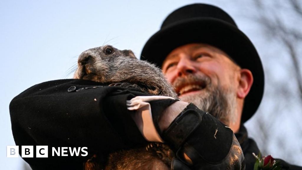 Watch: Punxsutawney Phil emerges for Groundhog Day