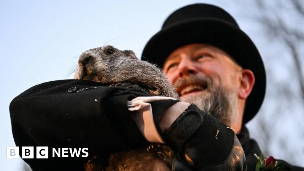 Watch: Punxsutawney Phil emerges for Groundhog Day