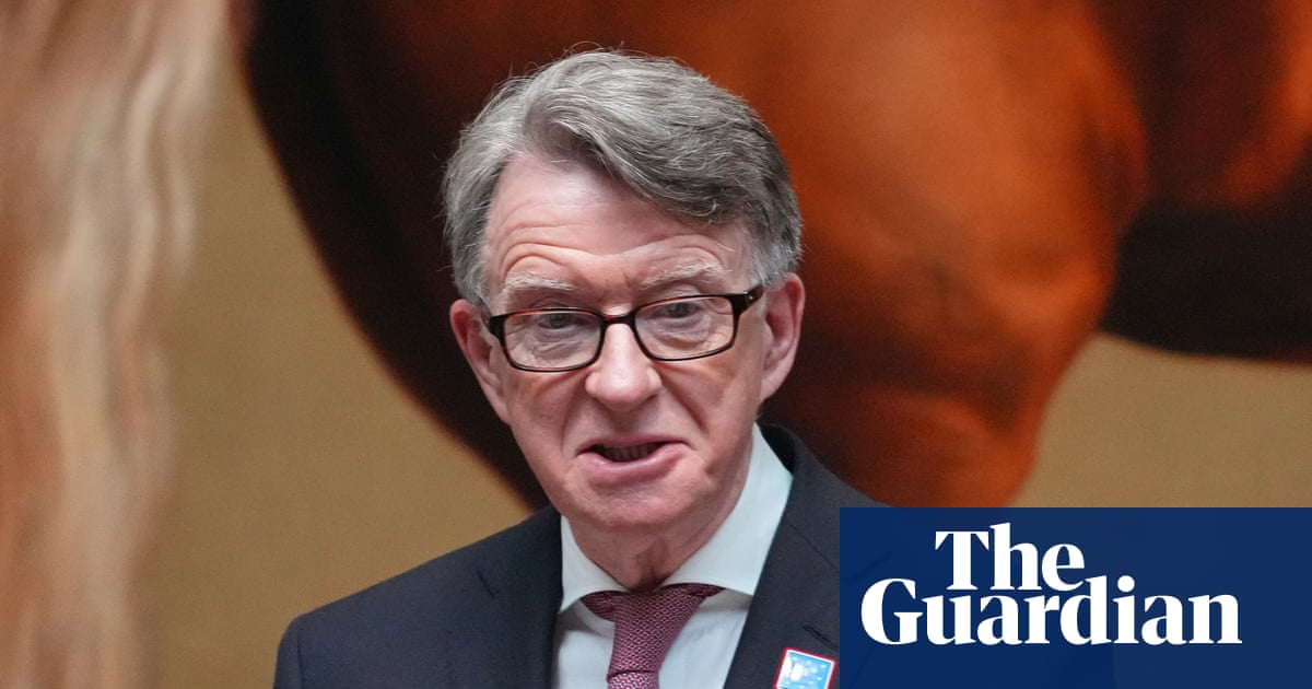 Mandelson could face police inquiry over alleged leak to Epstein