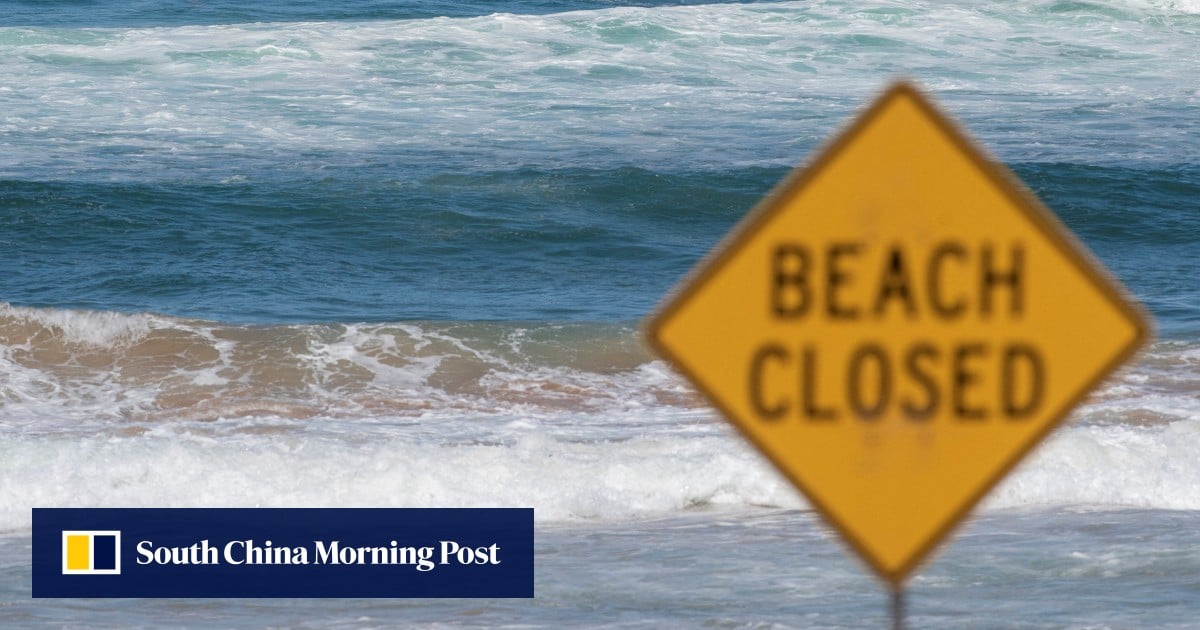 ‘Superhuman’ teen swims 4 hours to save family swept out to sea in Australia