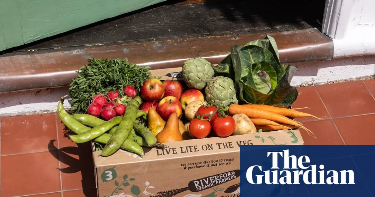 Riverford sales rise 6% as UK organics market enjoys biggest boom in two decades