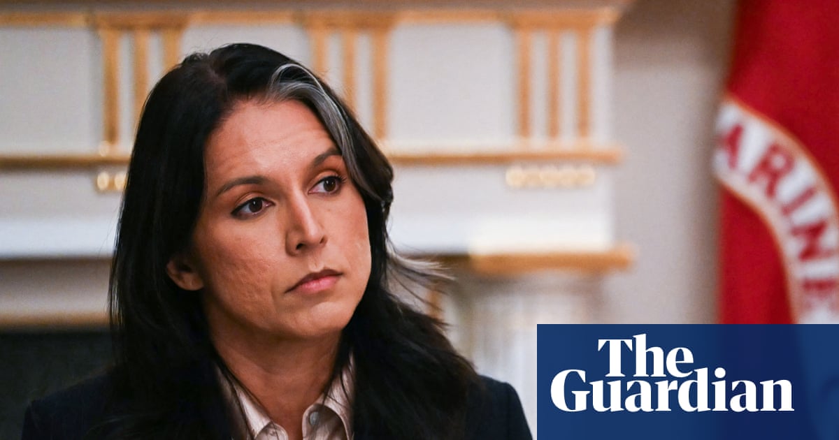 Georgia Democrats call for inquiry into Gabbard’s presence at Fulton county search