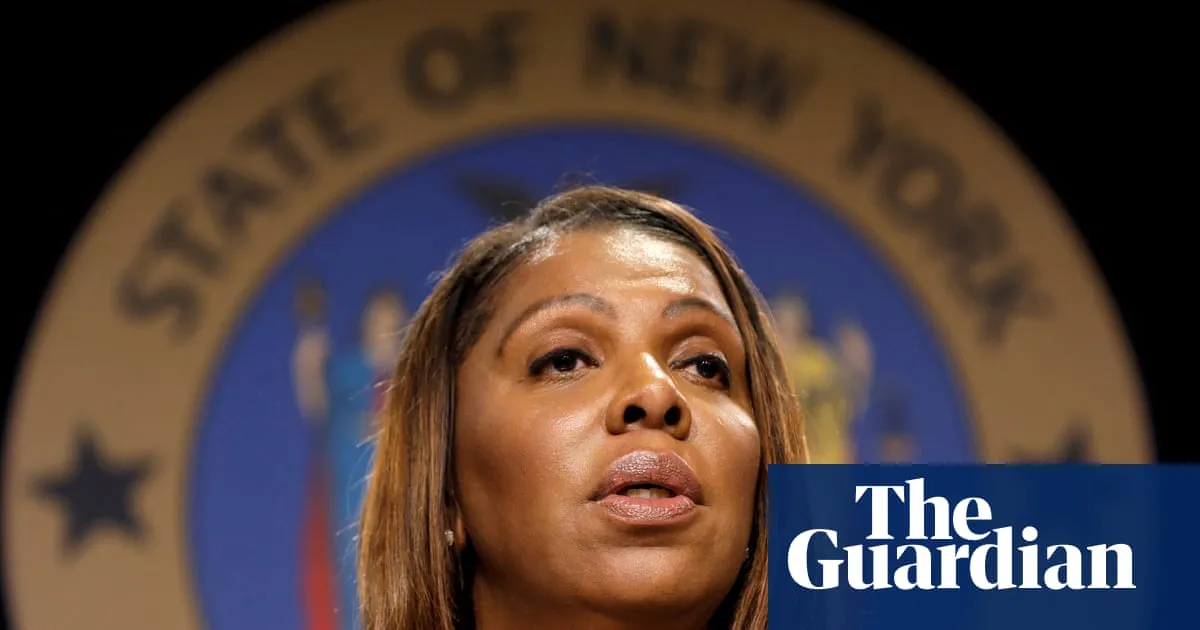 New York to create team of legal observers to document ICE raids