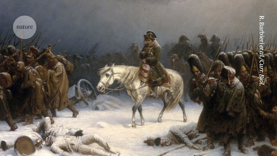 How Napoleon’s army met its doom: DNA reveals surprise illnesses had a role