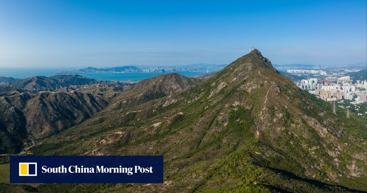 Hong Kong hiker rescued after falling from cliff, clinging to tree