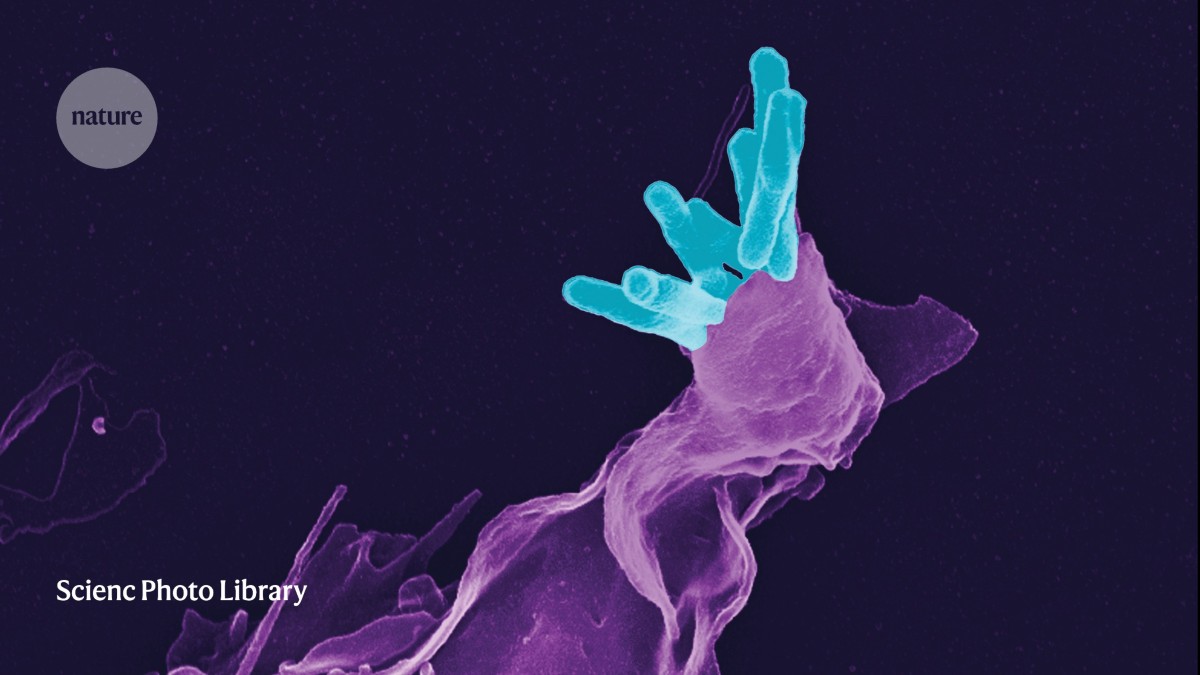 We need more than good science to fight infectious disease