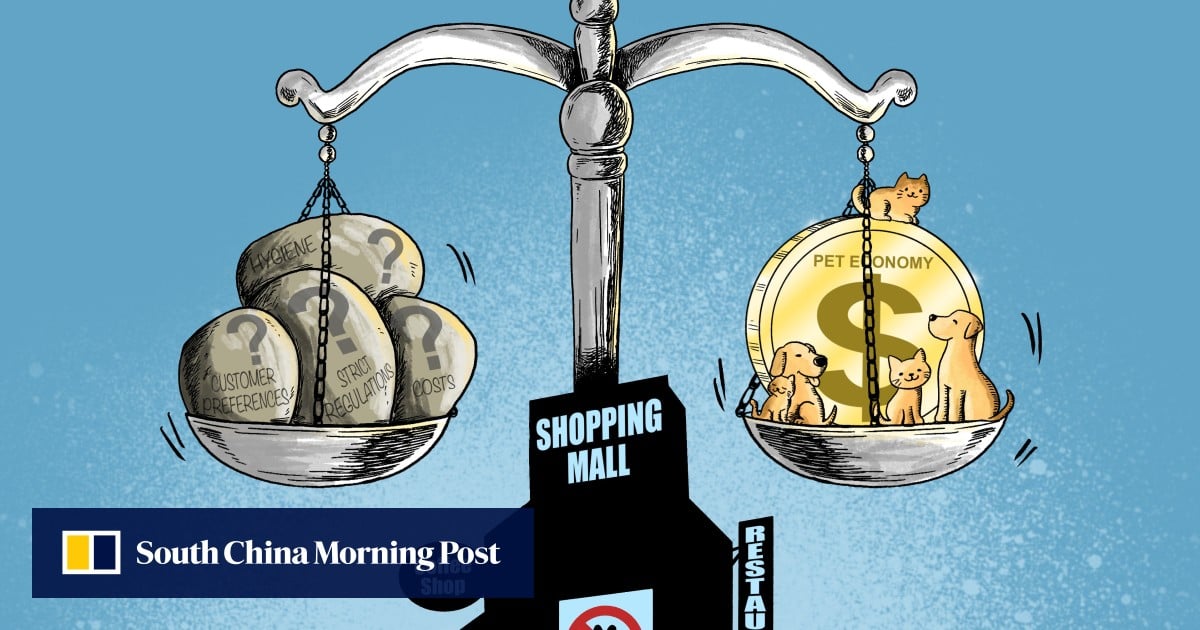 Is Hong Kong barking up the wrong tree with dog-friendly restaurants?