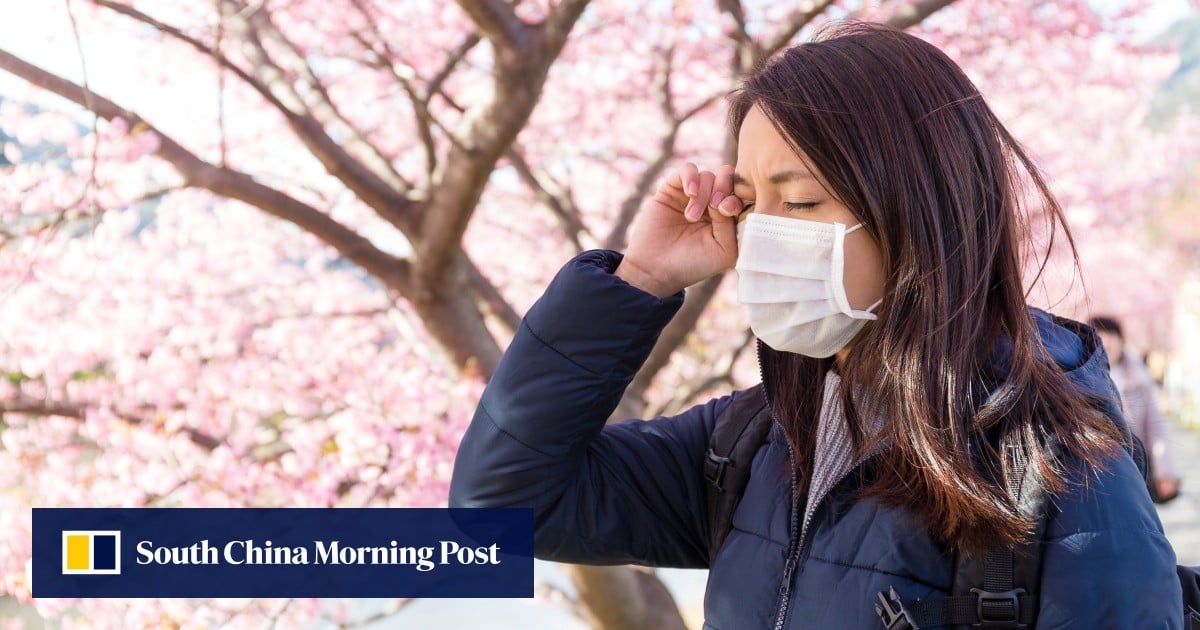 As Japan enters hay fever season, pollen levels may surge due to ‘horribly high’ summer