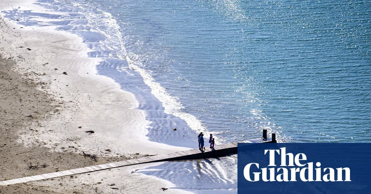 Horror in Wellington as millions of litres of untreated sewage flow into the sea