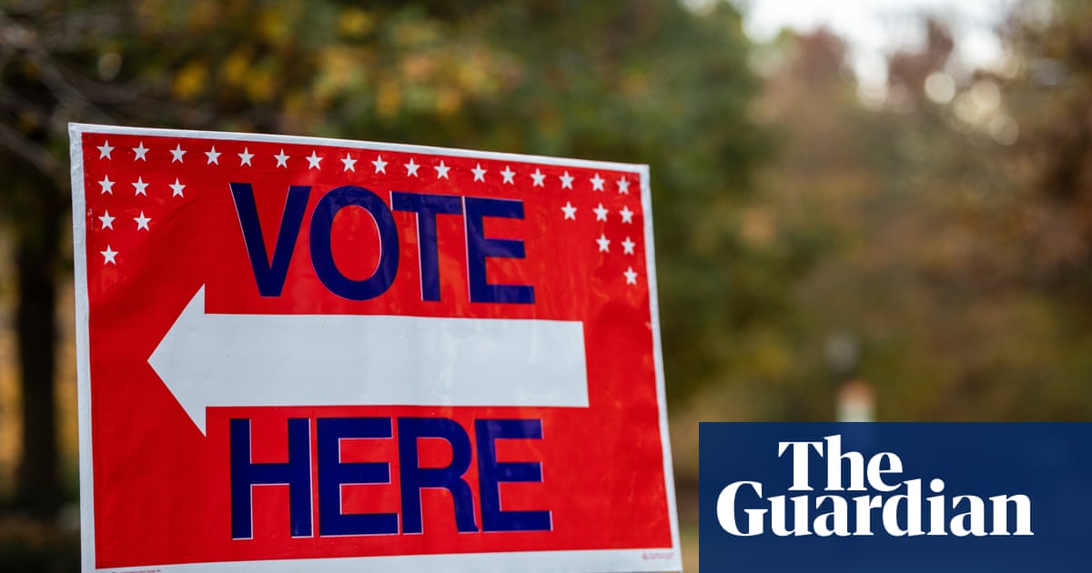 ‘Grind the country to a halt’: Democrat urges national strike if Trump meddles in midterms