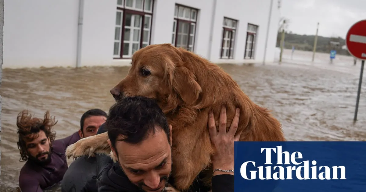 Calls to postpone presidential election as Storm Leonardo lashes Portugal and Spain