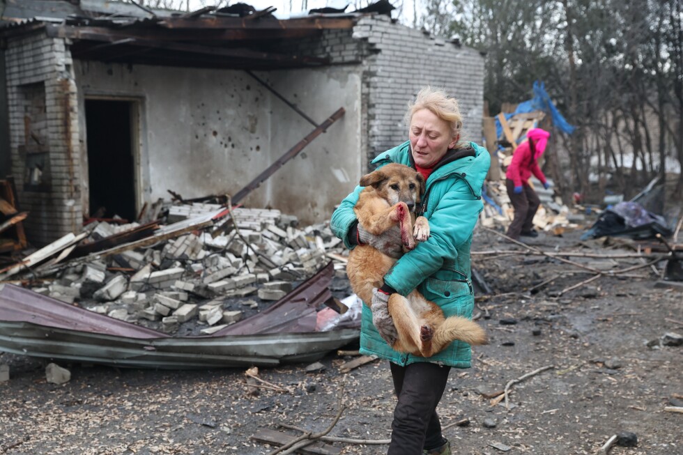 Zelenskyy says Ukrainian air force needs to improve as Russian drone barrages take a toll