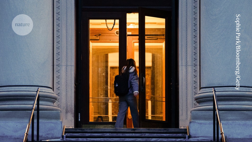 US PhD admissions shrink as fears over Trump’s cuts take hold