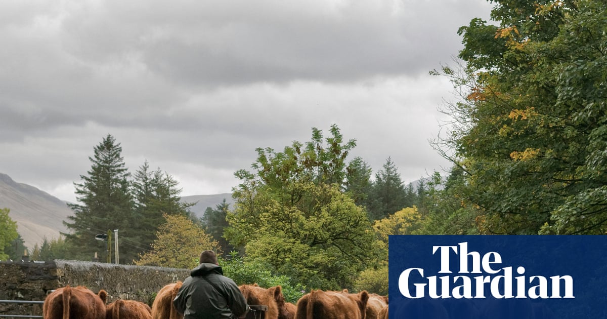 Post-Brexit sales of British farm products to EU fall by 37%