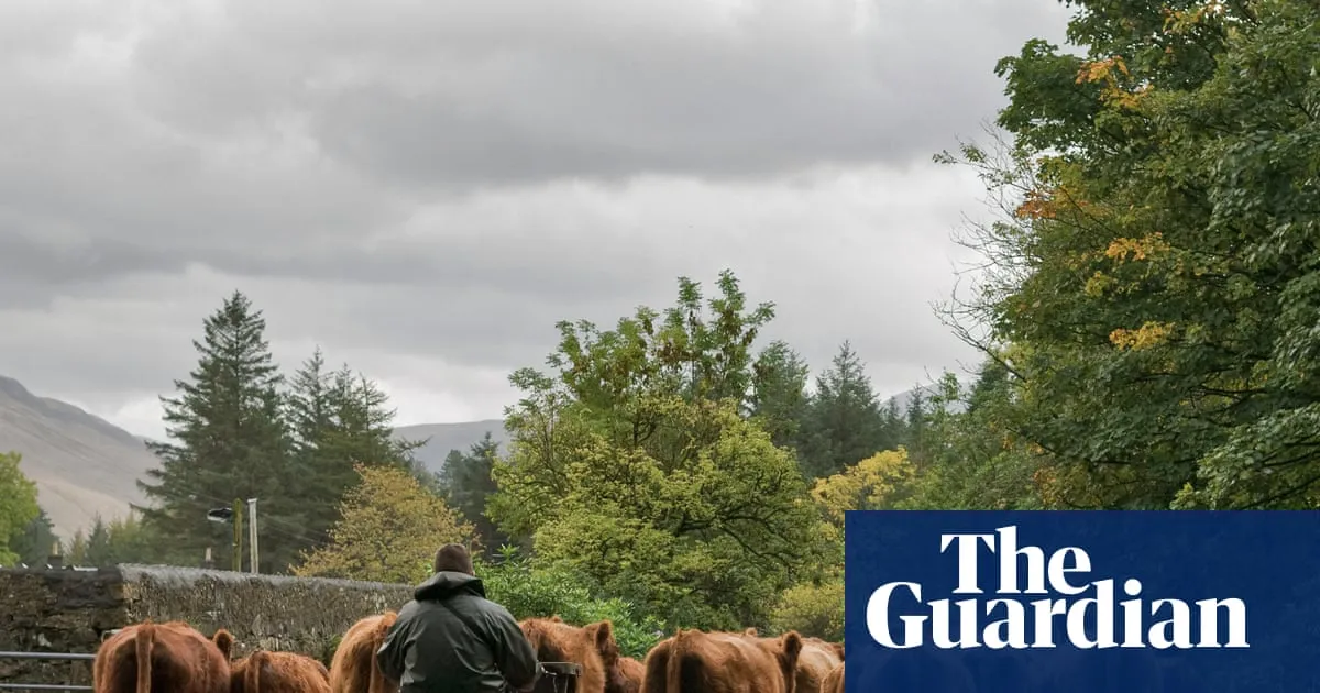 Post-Brexit sales of British farm products to EU fall by 37%