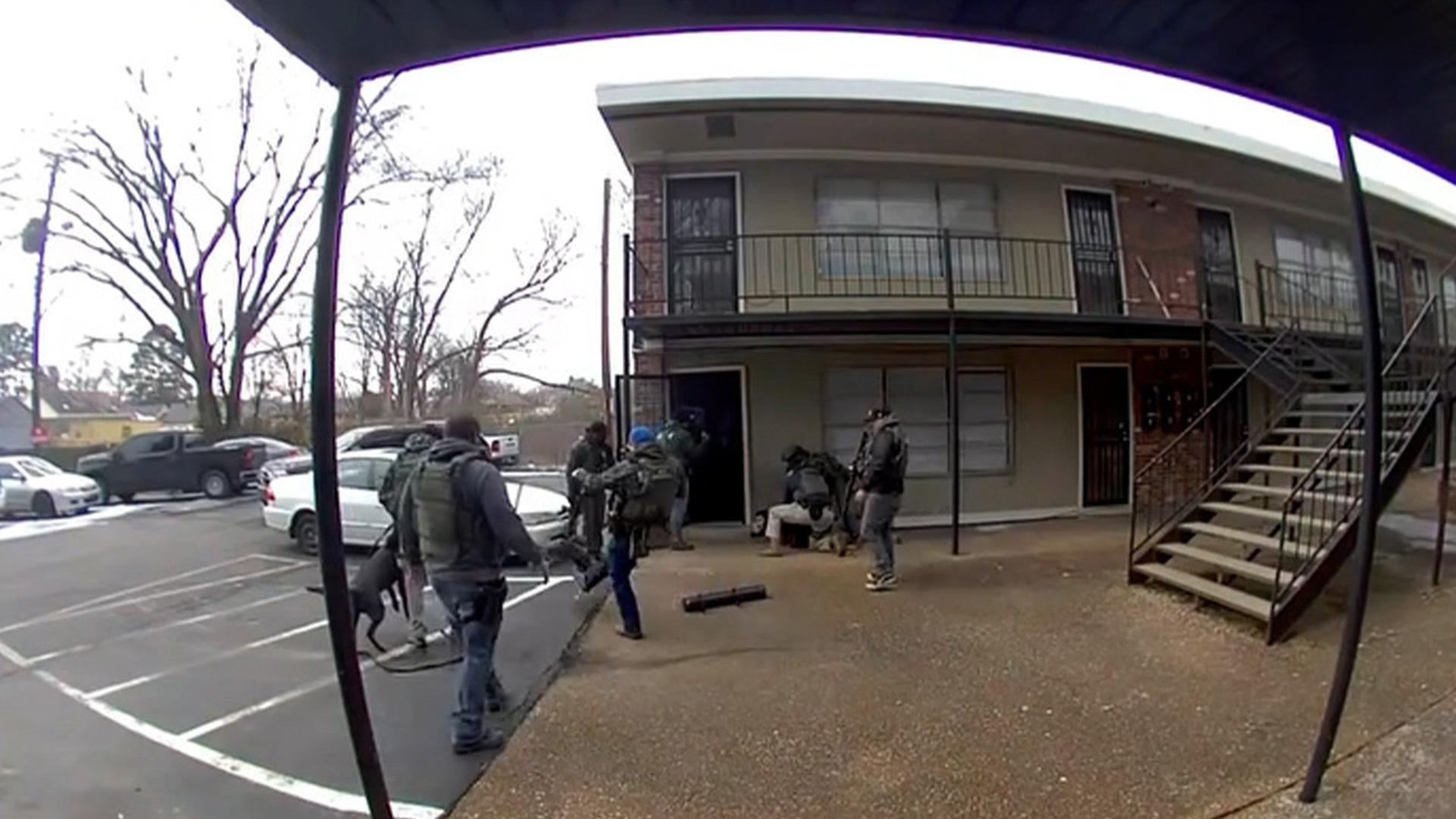 US federal agent breaks pet dog’s rib in Tennessee