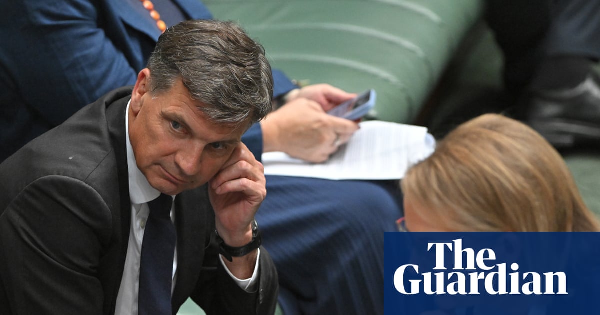 Angus Taylor supporters expect him to challenge Sussan Ley for Liberal leadership within days