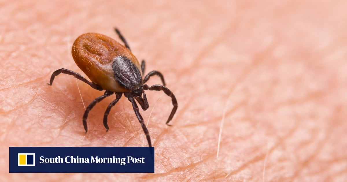 Can this ‘super antibody’ overpower SFTS, a deadly tick-borne disease?