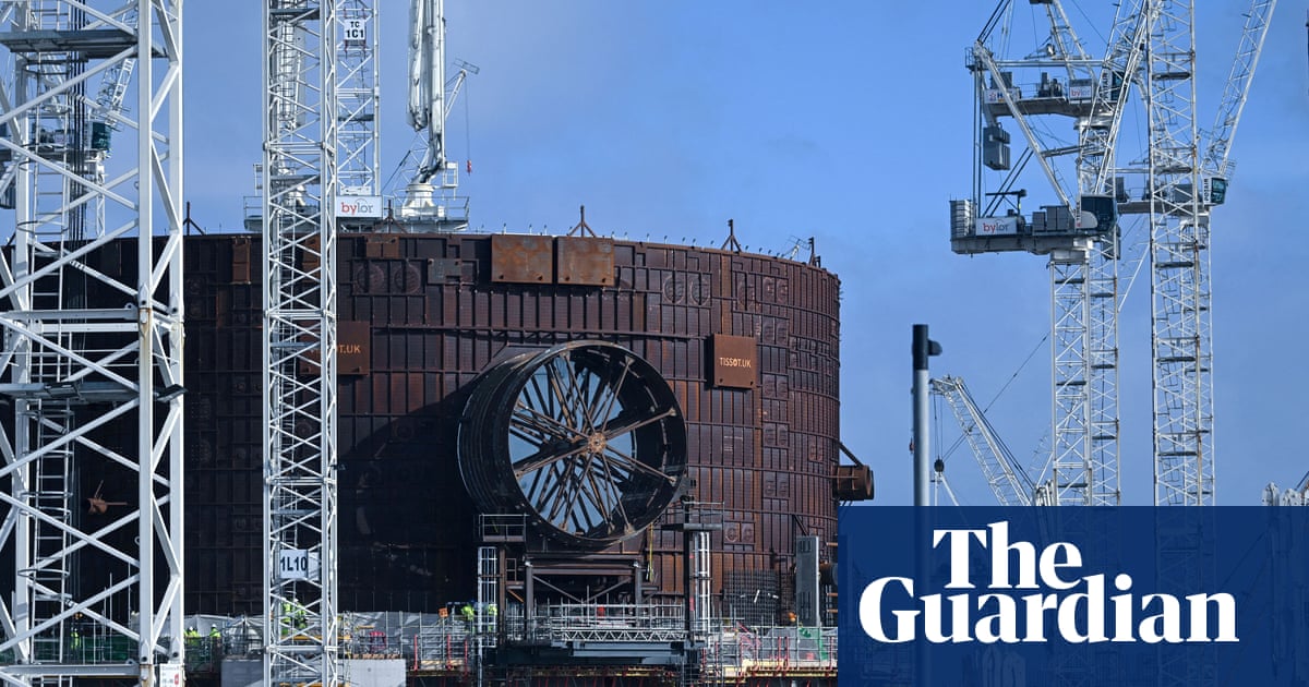 Hinkley Point C plan could save 90% of fish being sucked into pipes, study finds