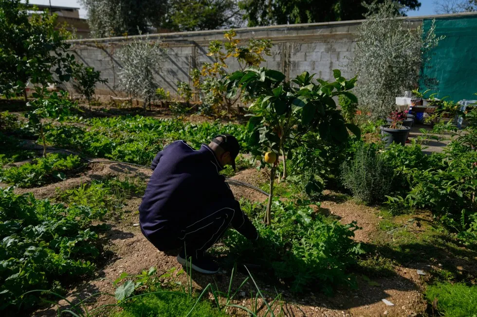 Misery deepens in the West Bank as Israel provides few Palestinian work permits