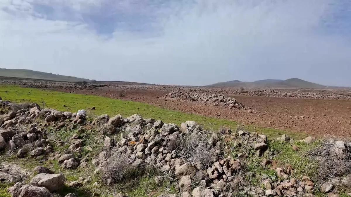 Israel accused of spraying chemicals to poison Syrian farmland