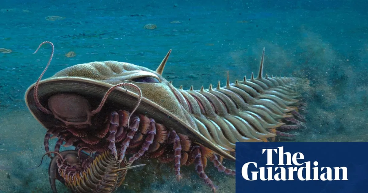 Drawings of Kangaroo Island fossils provide inspiration for stamp series