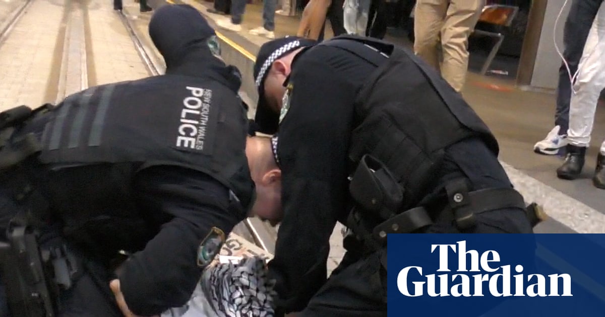 Police use of violence ‘disturbing’ and ‘disappointing’ at Sydney rally against Israeli president, experts say