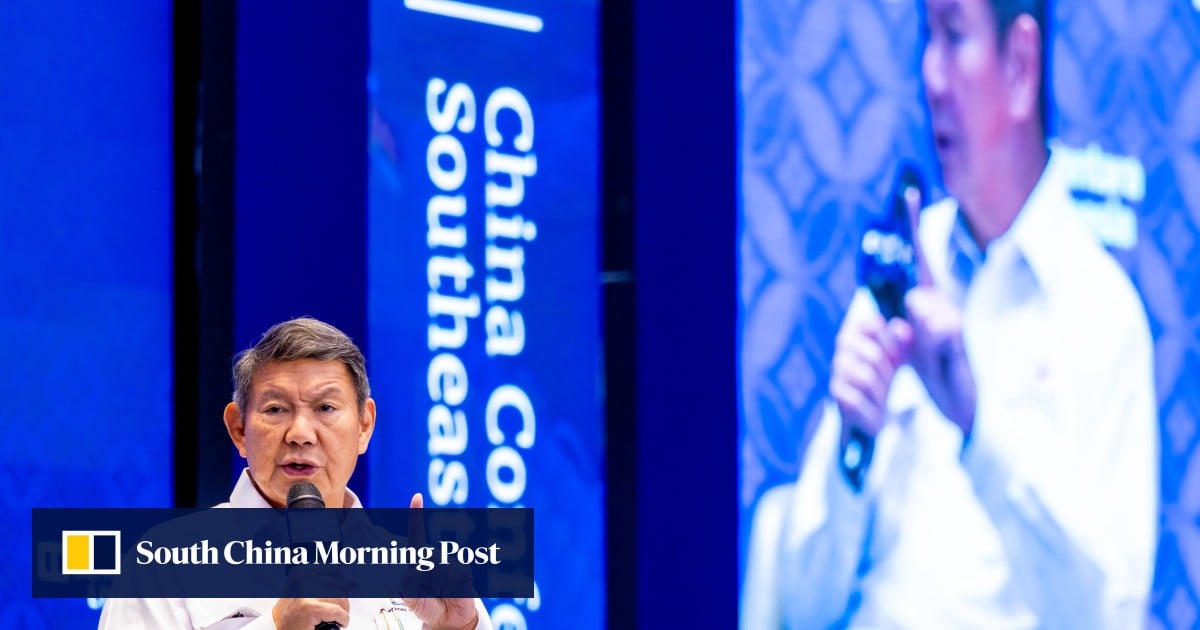 Indonesia on track for 10% growth by 2029, energy envoy Hashim says