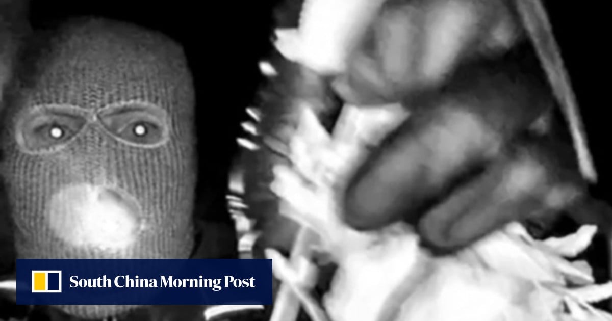 Nancy Guthrie disappearance: FBI releases images of masked person