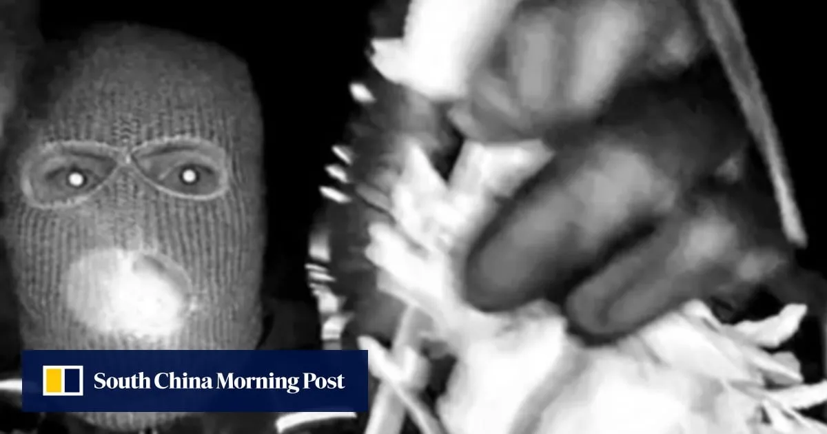 Nancy Guthrie disappearance: FBI releases images of masked person