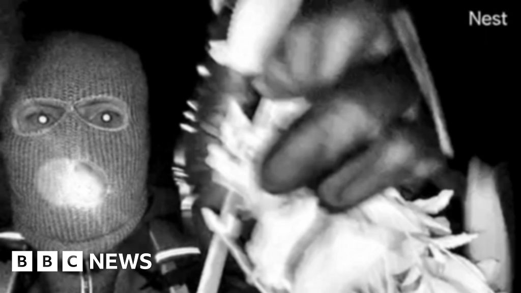 FBI releases images of masked person in hunt for Savannah Guthrie's mother