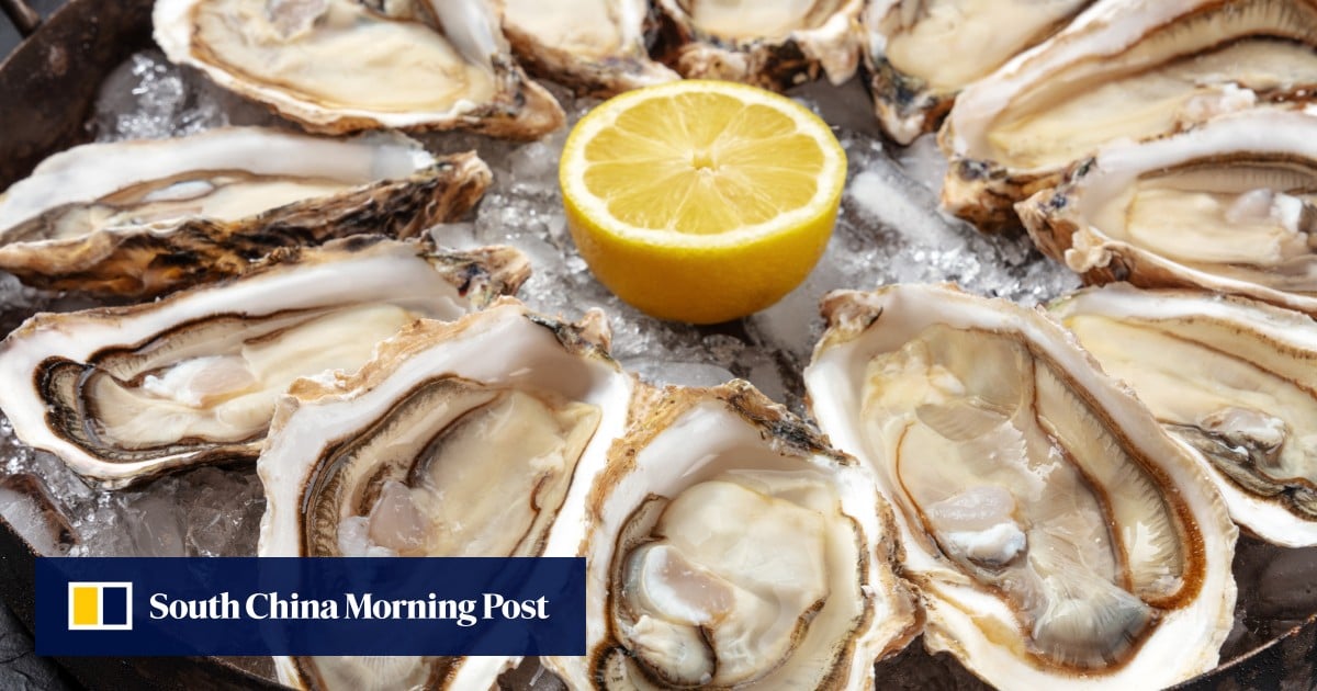 Does eating raw oysters put Hongkongers at risk of norovirus?