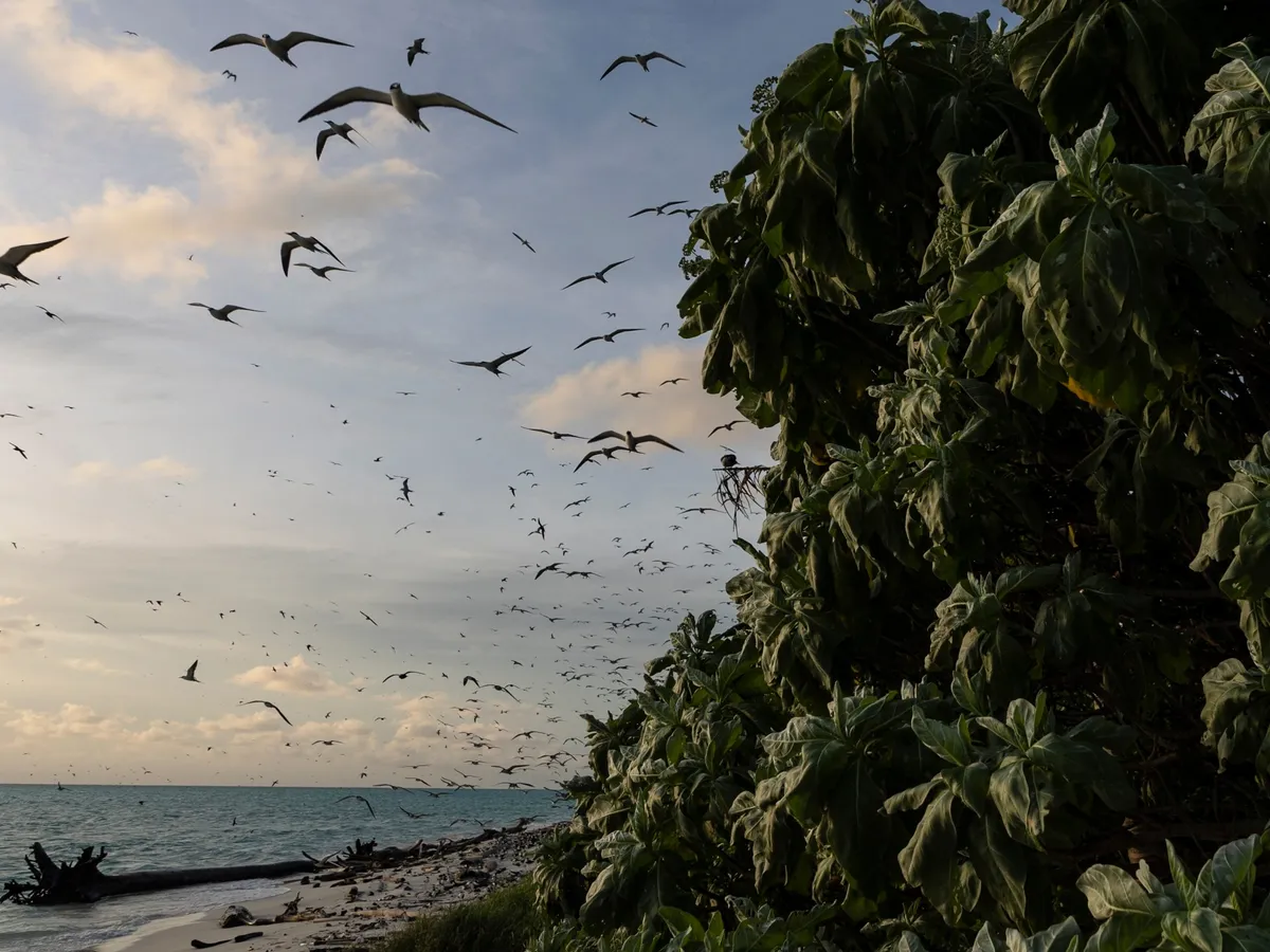 US sanctions officials from Marshall Islands and Palau, citing China fears
