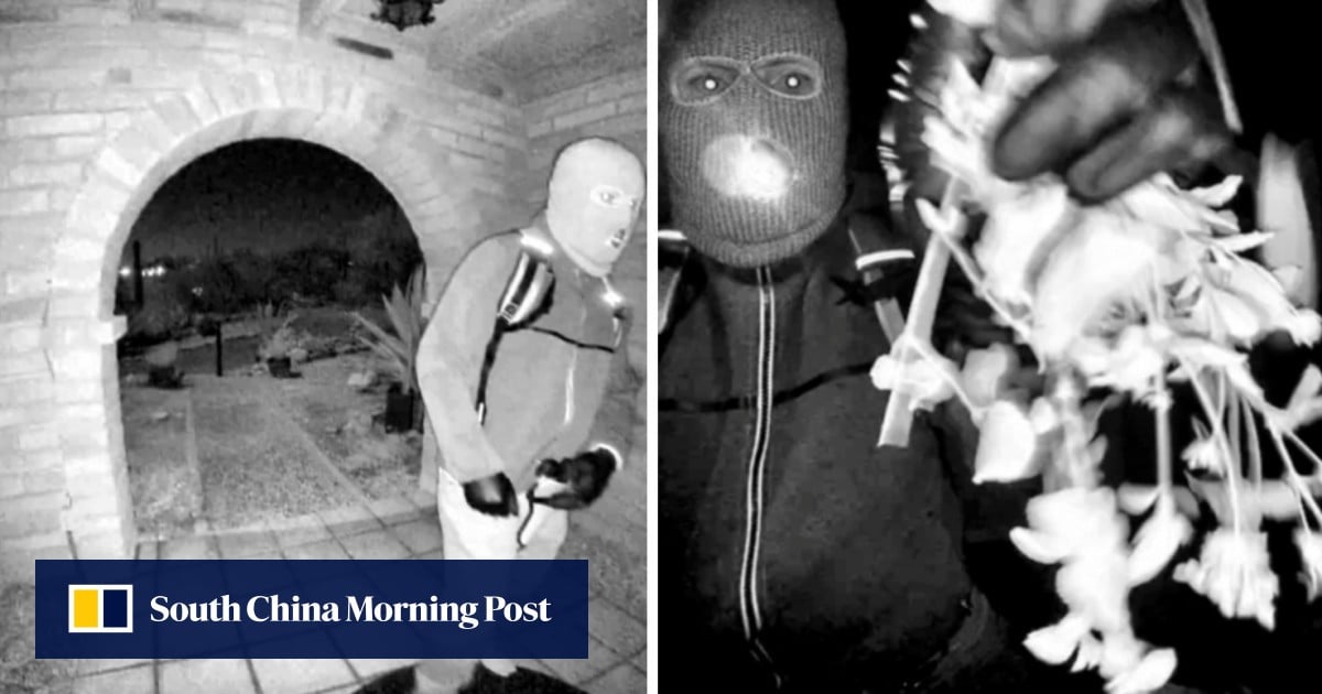 Person detained in disappearance of US TV host Guthrie’s mother