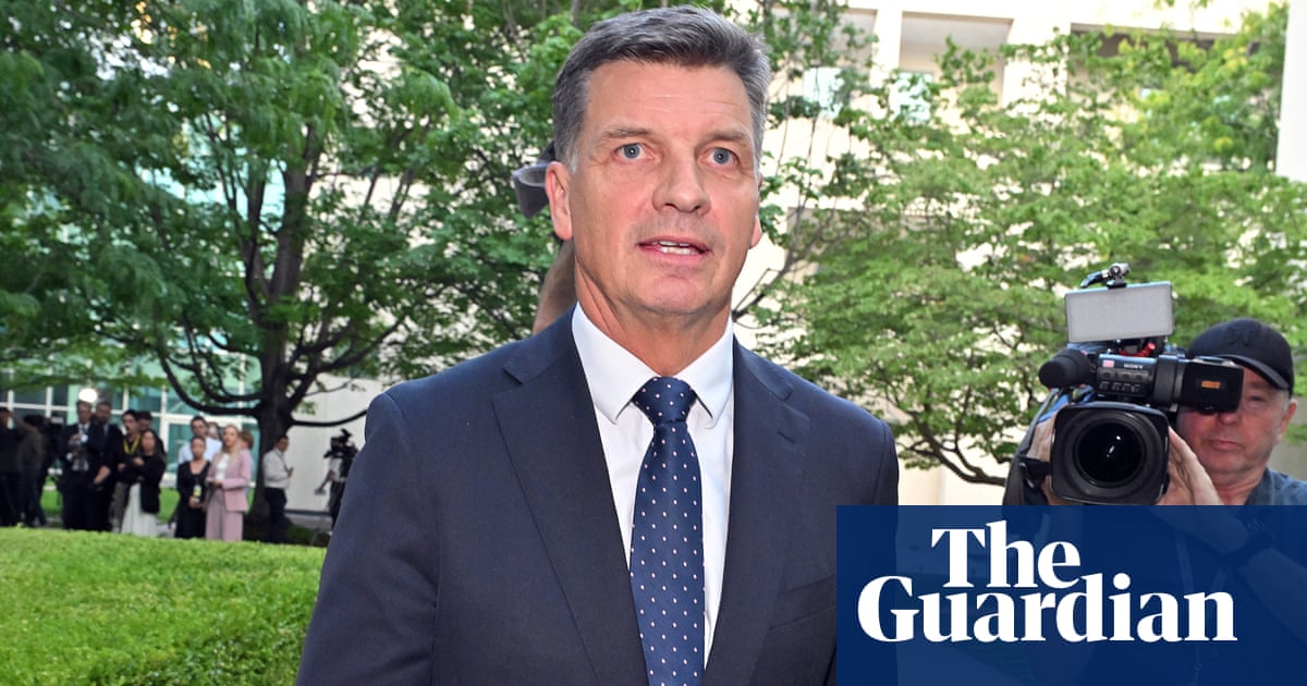 Sussan Ley looks doomed but Angus Taylor would still face a huge job