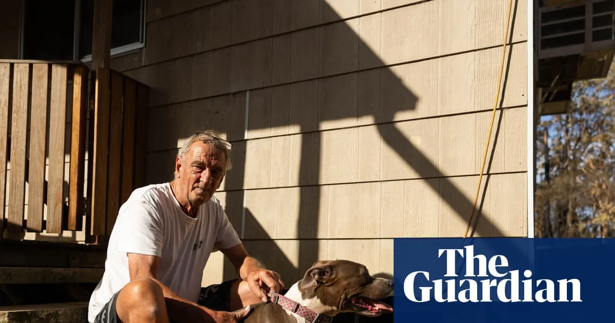 ‘It came from everywhere’: NSW town counts the cost after bushfire hits