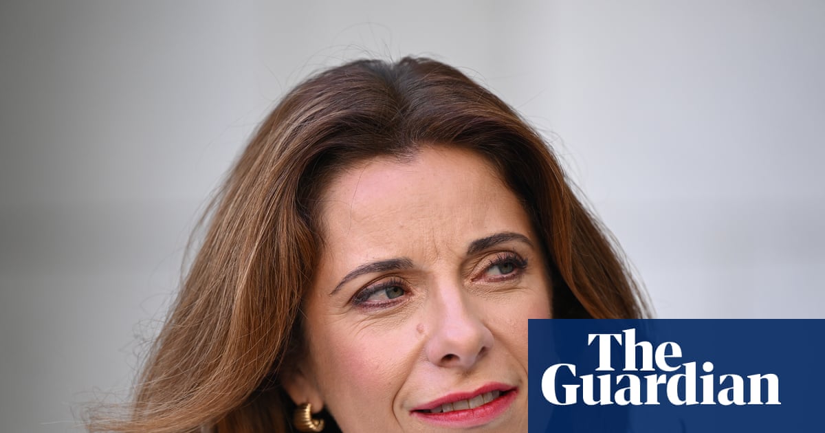 Anika Wells’ expenses are within the rules but many politicians know these perks should be wound back