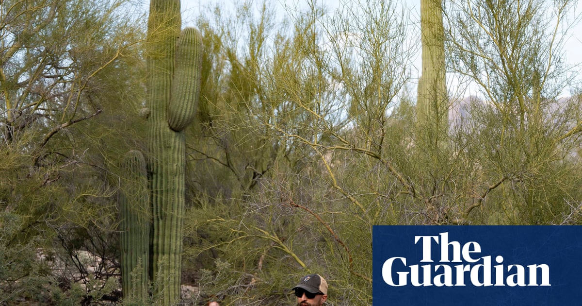 Search for Savannah Guthrie’s mother continues with 18,000-plus calls pouring in