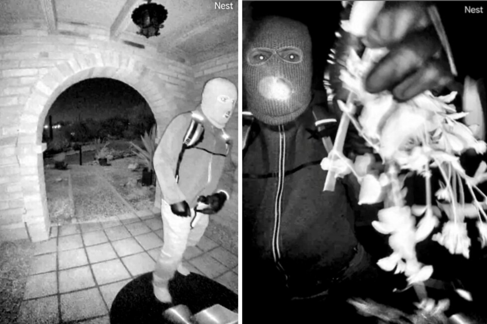 Investigators ask for surveillance video from specific dates in Nancy Guthrie disappearance
