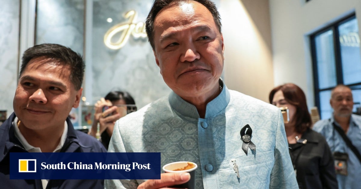 Thai PM’s winning party to form coalition with Thaksin-backed Pheu Thai